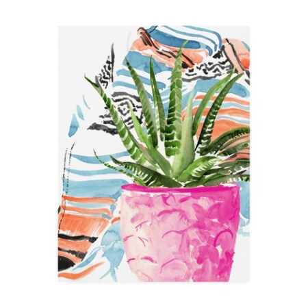 Trademark Fine Art Jennifer Paxton Parker 'Zebra Succulent I' Canvas Art, 35x47 WAG13320-C3547GG